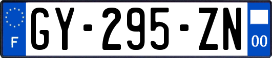 GY-295-ZN