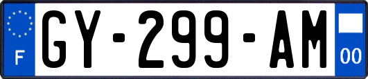 GY-299-AM