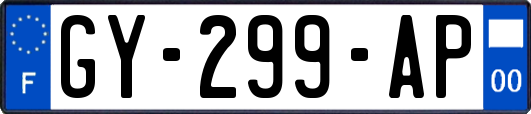 GY-299-AP