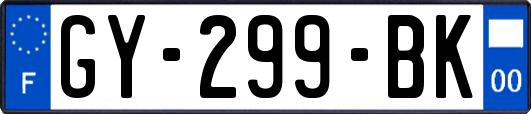 GY-299-BK