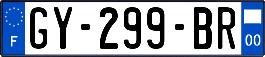 GY-299-BR
