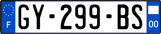 GY-299-BS