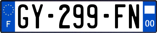 GY-299-FN