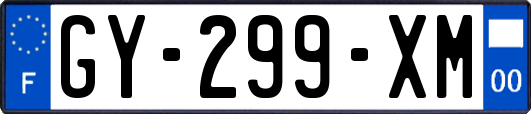 GY-299-XM