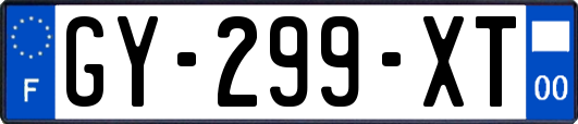 GY-299-XT