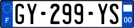GY-299-YS