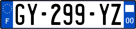 GY-299-YZ