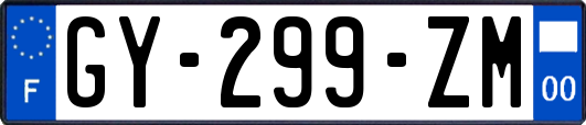 GY-299-ZM
