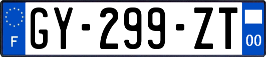 GY-299-ZT