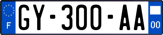 GY-300-AA