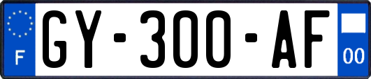 GY-300-AF