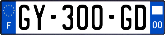 GY-300-GD