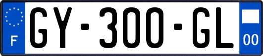 GY-300-GL