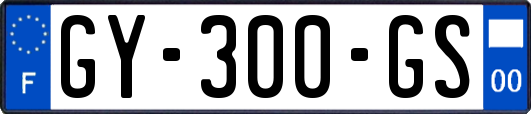 GY-300-GS