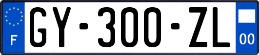 GY-300-ZL