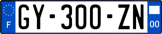 GY-300-ZN
