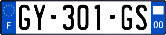GY-301-GS