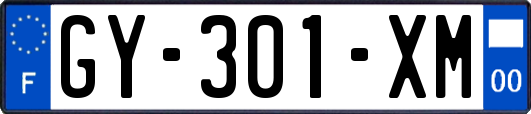 GY-301-XM
