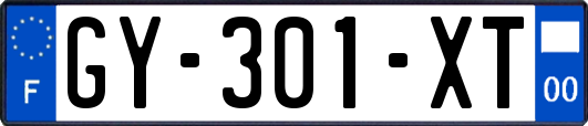 GY-301-XT