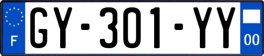 GY-301-YY