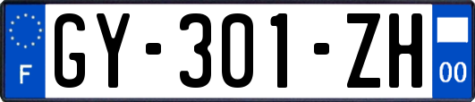 GY-301-ZH