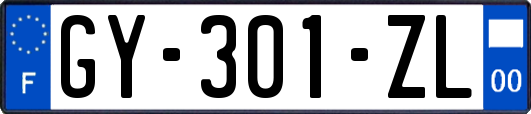 GY-301-ZL