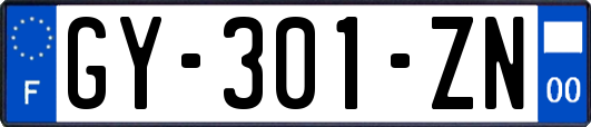 GY-301-ZN