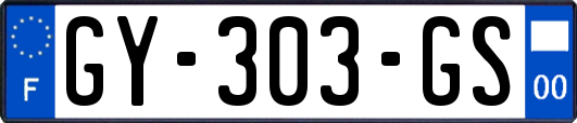 GY-303-GS