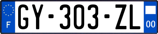 GY-303-ZL