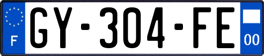 GY-304-FE