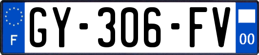 GY-306-FV