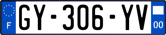 GY-306-YV