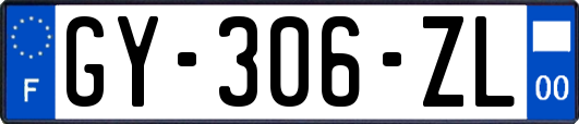 GY-306-ZL