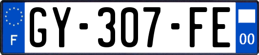 GY-307-FE