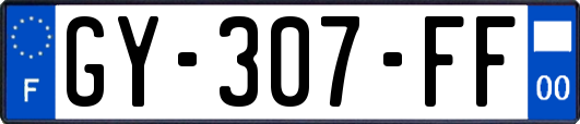 GY-307-FF