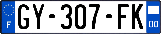 GY-307-FK