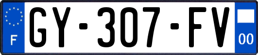 GY-307-FV