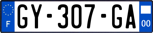 GY-307-GA