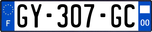 GY-307-GC