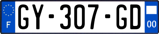 GY-307-GD