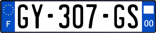 GY-307-GS