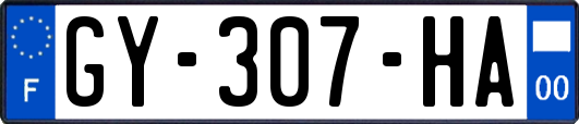 GY-307-HA