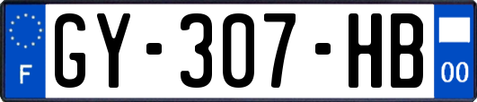 GY-307-HB
