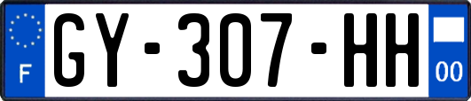 GY-307-HH