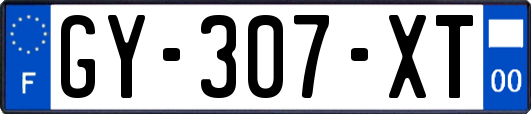 GY-307-XT