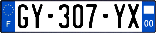 GY-307-YX