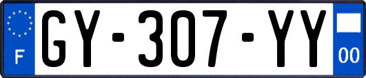 GY-307-YY