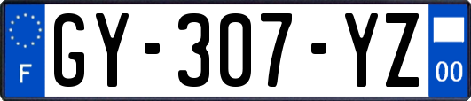 GY-307-YZ