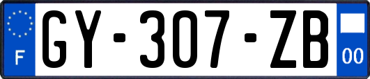 GY-307-ZB
