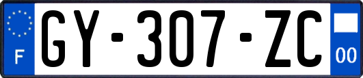 GY-307-ZC